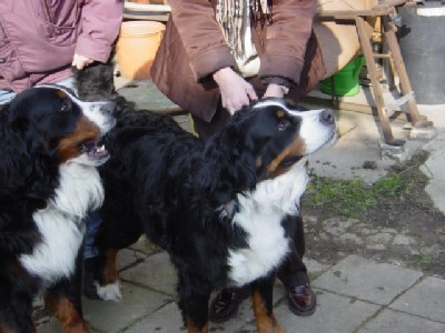 Max und Quimera